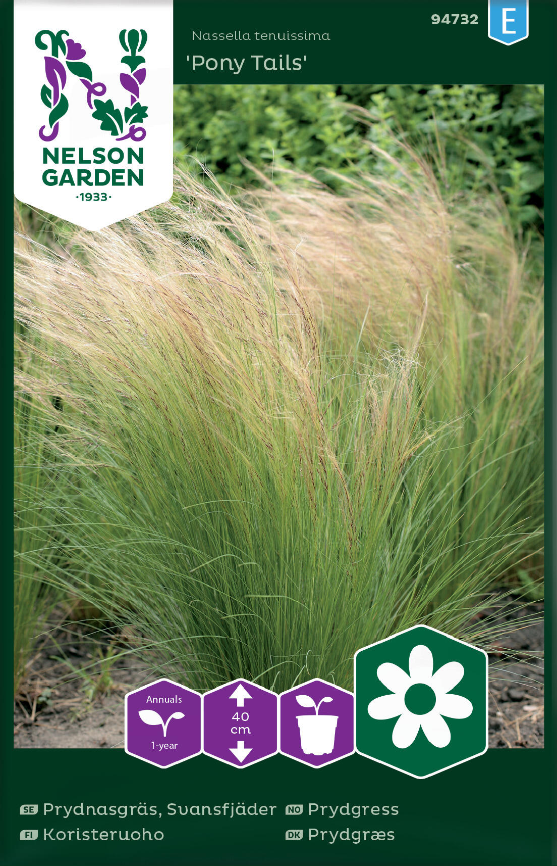 Prydnadsgräs, svanfjäder 'ponnytails'